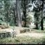  Land for sale in Huitzilac, Morelos, Huitzilac