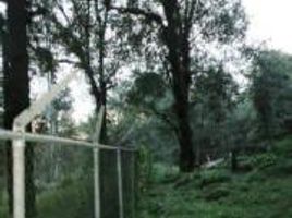  Land for sale in Huitzilac, Morelos, Huitzilac