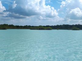  Grundstück zu verkaufen in Othon P Blanco, Quintana Roo, Othon P Blanco