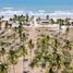  Land for sale in Tecuala, Nayarit, Tecuala
