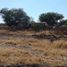  Land for rent in Fresnillo, Zacatecas, Fresnillo, Zacatecas
