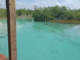 Terrain à vendre à Othon P Blanco, Quintana Roo, Othon P Blanco