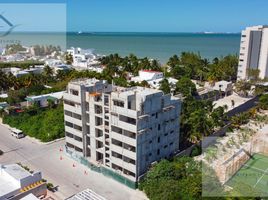 2 Schlafzimmer Appartement zu verkaufen in Progreso, Yucatan, Progreso