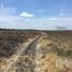 在Champoton, Campeche出售的 土地, Champoton