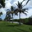  Land for sale in Tampico Alto, Veracruz, Tampico Alto