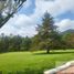  Land for sale in Mineral Del Chico, Hidalgo, Mineral Del Chico