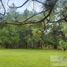  Land for sale in Mineral Del Chico, Hidalgo, Mineral Del Chico