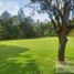  Land for sale in Mineral Del Chico, Hidalgo, Mineral Del Chico
