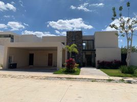 Maison 4 chambre à vendre à Conkal, Yucatan, Conkal