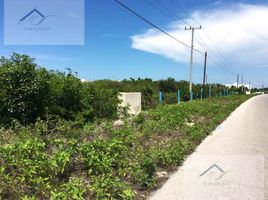  Grundstück zu verkaufen in Ixil, Yucatan, Ixil