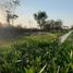  Terreno (Parcela) en venta en Yaxkukul, Yucatán, Yaxkukul