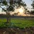  Terreno (Parcela) en venta en Yaxkukul, Yucatán, Yaxkukul
