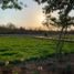  Terreno (Parcela) en venta en Yaxkukul, Yucatán, Yaxkukul