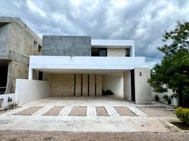 3 Schlafzimmer Villa zu verkaufen in Conkal, Yucatan, Conkal