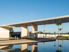 Maison 3 chambre à vendre à Conkal, Yucatan, Conkal