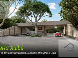  Grundstück zu verkaufen in Conkal, Yucatan, Conkal