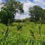 Studio House for sale in Aldama Tamaulipas, Aldama