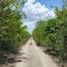  Terreno (Parcela) en venta en Merida, Yucatán, Merida, Yucatán