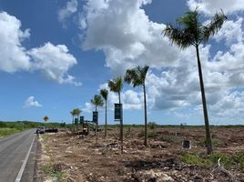  Grundstück zu verkaufen in Dzidzantun, Yucatan, Dzidzantun