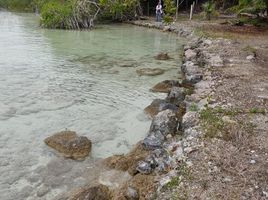 Terrain à vendre à Othon P Blanco, Quintana Roo, Othon P Blanco