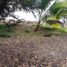 Terrain à vendre à Othon P Blanco, Quintana Roo, Othon P Blanco