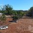  Terreno (Parcela) en venta en Hecelchakan, Campeche, Hecelchakan