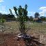  Terreno (Parcela) en venta en Hecelchakan, Campeche, Hecelchakan