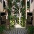 3 Schlafzimmer Villa zu verkaufen in Cozumel, Quintana Roo, Cozumel