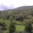  Land for sale in Chiquilistlan, Jalisco, Chiquilistlan