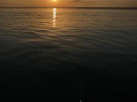  Terreno (Parcela) en venta en Othon P Blanco, Quintana Roo, Othon P Blanco