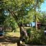  Terreno (Parcela) en venta en Othon P Blanco, Quintana Roo, Othon P Blanco