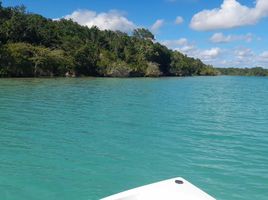  Grundstück zu verkaufen in Othon P Blanco, Quintana Roo, Othon P Blanco