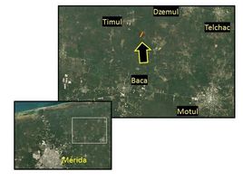  Terreno (Parcela) en venta en Motul, Yucatán, Motul