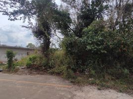  Terrain for sale in Othon P Blanco, Quintana Roo, Othon P Blanco