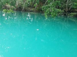  Grundstück zu verkaufen in Othon P Blanco, Quintana Roo, Othon P Blanco