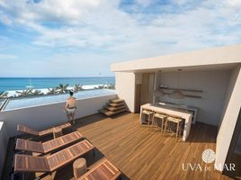 2 Habitación Apartamento en venta en Puerto Morelos, Quintana Roo, Puerto Morelos