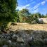  Land for sale in Othon P Blanco, Quintana Roo, Othon P Blanco