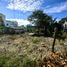 Land for sale in Othon P Blanco, Quintana Roo, Othon P Blanco