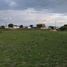  Land for sale in Asientos, Aguascalientes, Asientos