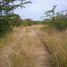  Land for sale in Tixcacalcupul, Yucatan, Tixcacalcupul