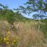  Terreno (Parcela) en venta en Tixcacalcupul, Yucatán, Tixcacalcupul