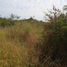  Land for sale in Tixcacalcupul, Yucatan, Tixcacalcupul