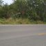 Land for sale in Tixcacalcupul, Yucatan, Tixcacalcupul