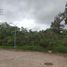 在Coatepec, Veracruz出售的 土地, Coatepec