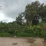 在Coatepec, Veracruz出售的 土地, Coatepec