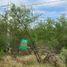  Land for sale in Doctor Gonzalez, Nuevo Leon, Doctor Gonzalez