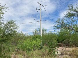  Land for sale in Doctor Gonzalez, Nuevo Leon, Doctor Gonzalez