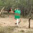  Land for sale in Doctor Gonzalez, Nuevo Leon, Doctor Gonzalez