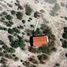  Land for sale in Doctor Gonzalez, Nuevo Leon, Doctor Gonzalez