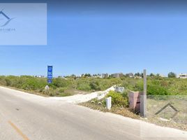  Grundstück zu verkaufen in Ixil, Yucatan, Ixil